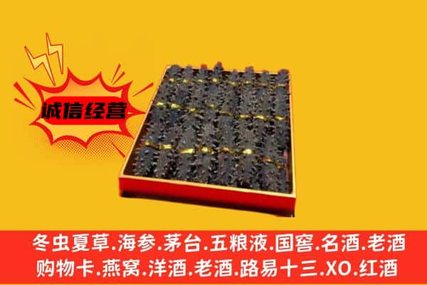 焦作市解放回收海参